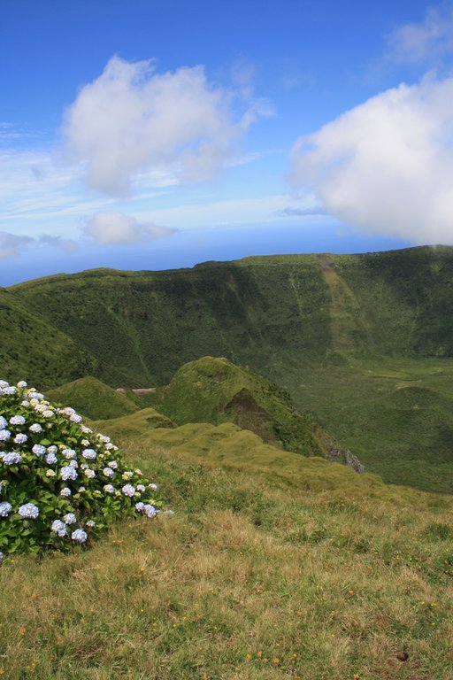 Image 20120811154921.JPG