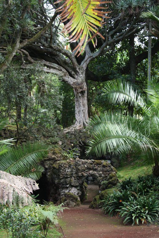 Image 20120809121653.JPG